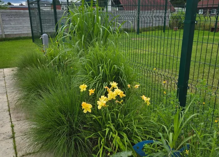 Ośrodek Domków Letniskowych Sztorm * Chłopy